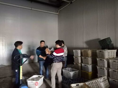 ?？谑乘幈O局靠前服務 以專業指導賦能合作社農產品深加工廠建設
